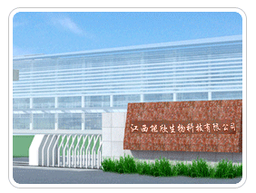 江西能欣生物科技有限公司